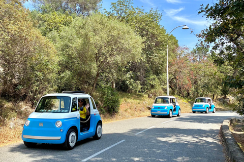 Nice: Self-Drive electric Car with Guide and Scenic Views