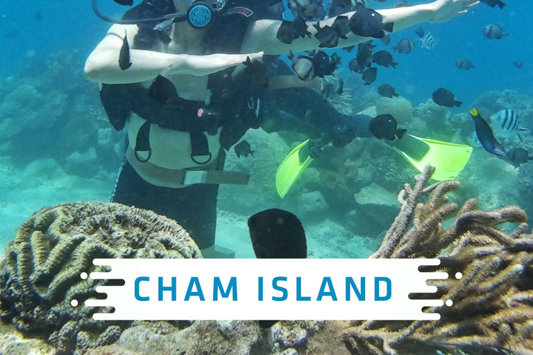 Da Nang/Hoi An: Cham Islands Snorkeling Trip with Lunch Da Nang/Hoi An: Cham Islands Snorkeling Trip with Lunch