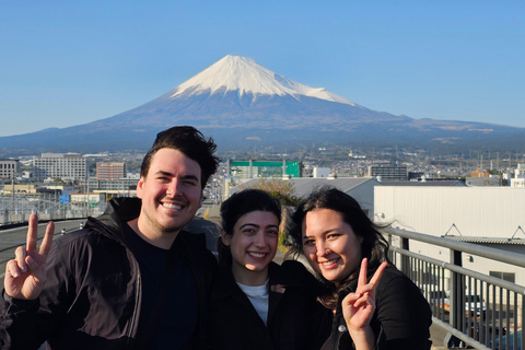 Fuji city: Mount Fuji Scenic E-Bike Tour
