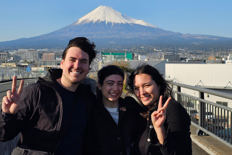 La città di Fuji: Tour panoramico in E-Bike del Monte Fuji