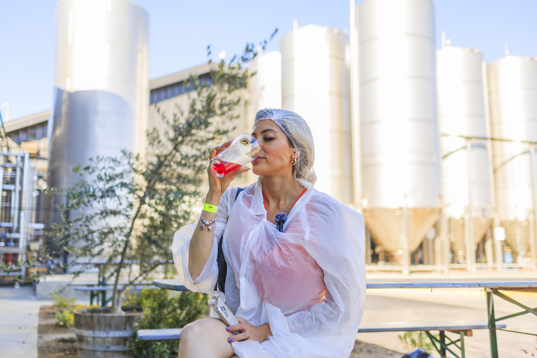 Visite de la brasserie Kross : Une expérience de dégustation de bières artisanales