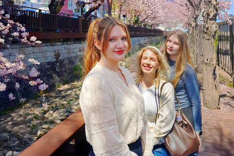 Seoul: Jinhae Cherry Blossom Tour with Busan Drop-off Option [Round Trip From Seoul] Jinhae Cherry Blossom Day Tour