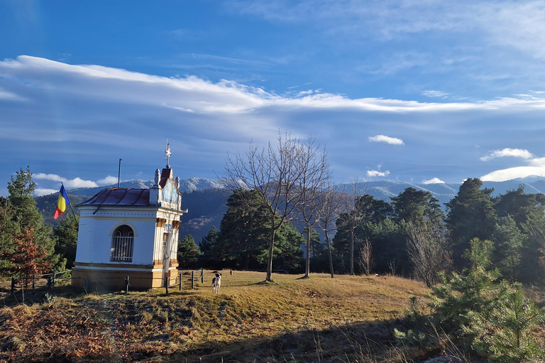 Brașov’s Secret Tastes & Stories