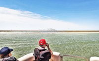 Faro, Ria Formosa Faro Islands Catamaran Tour - Housity