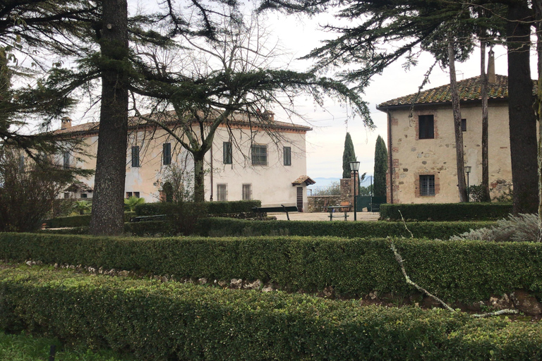 Da Firenze: Tour privato del Chianti Rufina e degustazione gastronomica