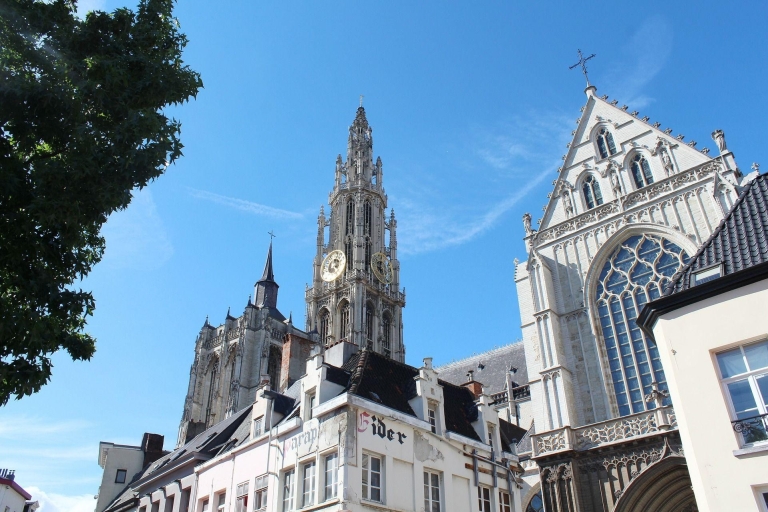 Antwerpia: Prywatna wycieczka piesza po Antwerpii