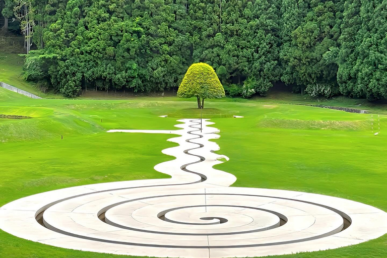 Osaka: Nara’s Hidden-gem Temples, Art Forest Day Tour