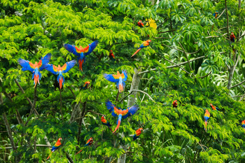 River Day Tour - Manaus + Digital Visitor Kit