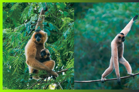 Cat Tien National Park: 3 Day Jungle Expedition Journey