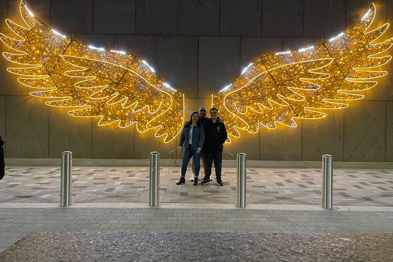 Christmas Lights Tour