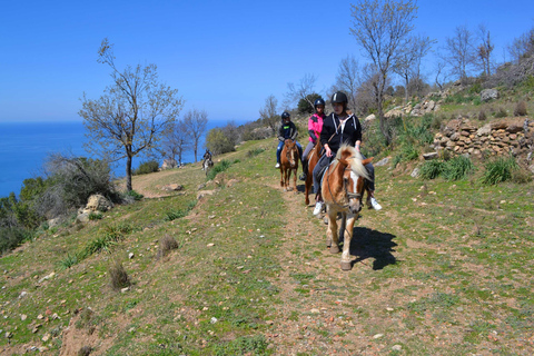 Alanya: Unique Horse Safari Experience in the Taurus Mountains with Transport Alanya: Unique Horse Safari Experience in the Taurus Mountains + Transfer