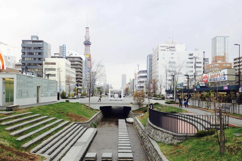 Sapporo: City Center History and Art Walking Tour