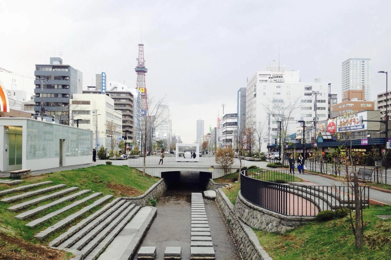Sapporo: City Center History and Art Walking Tour