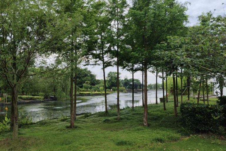 Shanghai: Xitang Night Water Town & Paddleboard Trip