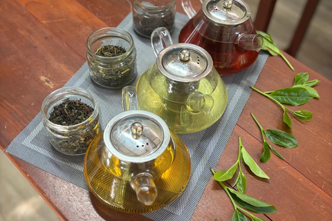 Ella: Organic Tea Plantation Tour with Tea Making & Tasting