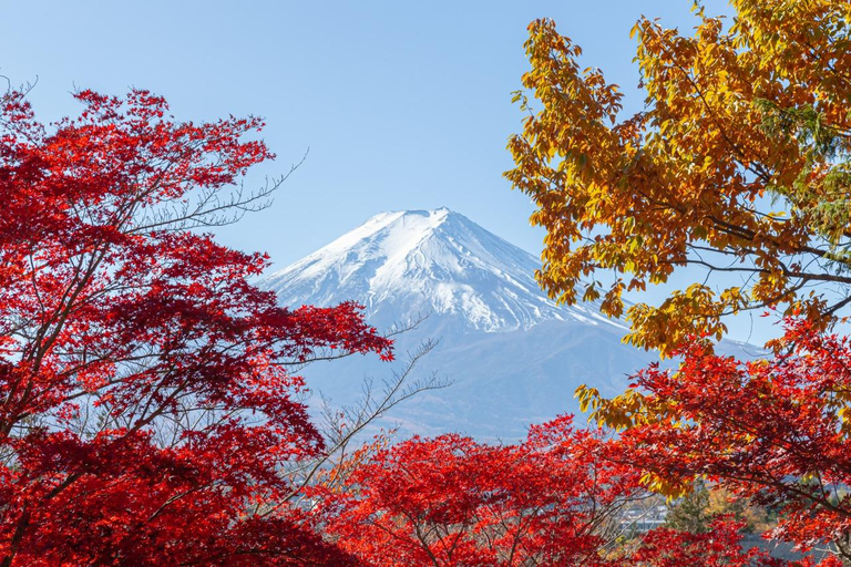 Tokyo: Mt Fuji&Chureito Pagoda&Lake Kawaguchi&Oshino Hakkai Free Karaage Chicken Set | 8AM Tokyo Station Departure