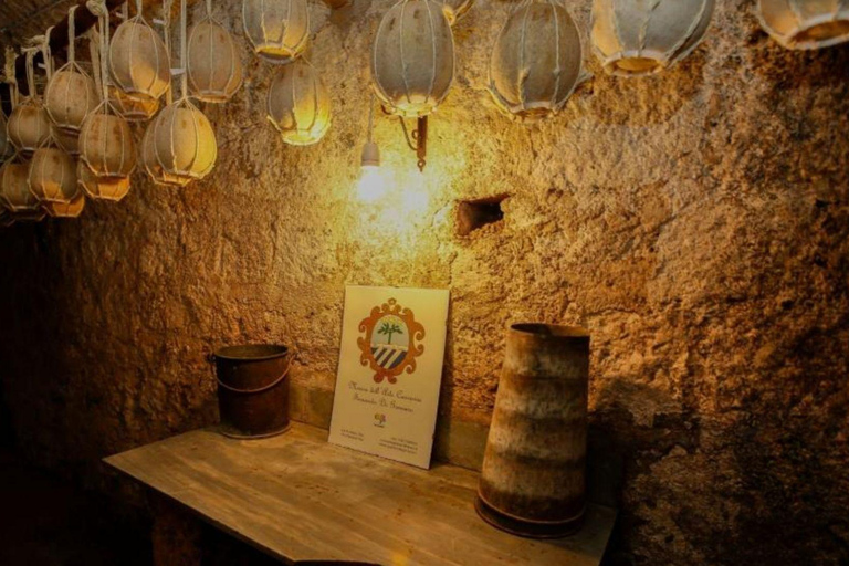 Vico Equense: Provolone del Monaco DOP Cheese Tasting