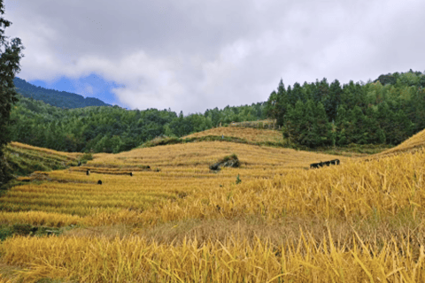 Guilin: Longji Rice Terraces & Yao Village Day Trip