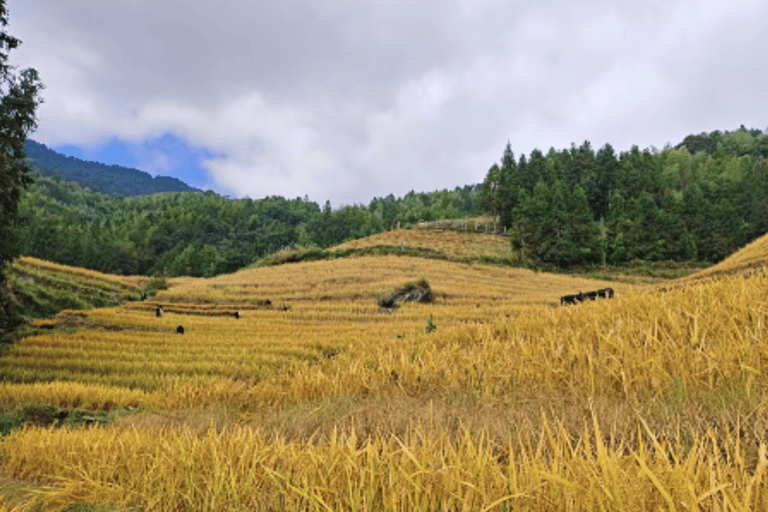 Guilin: Longji Rice Terraces & Yao Village Day Trip