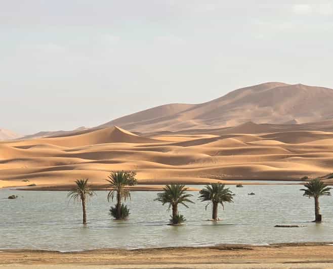 Depuis Casablanca : road trip de 6 jours au Maroc – montagnes et désert - bivouac