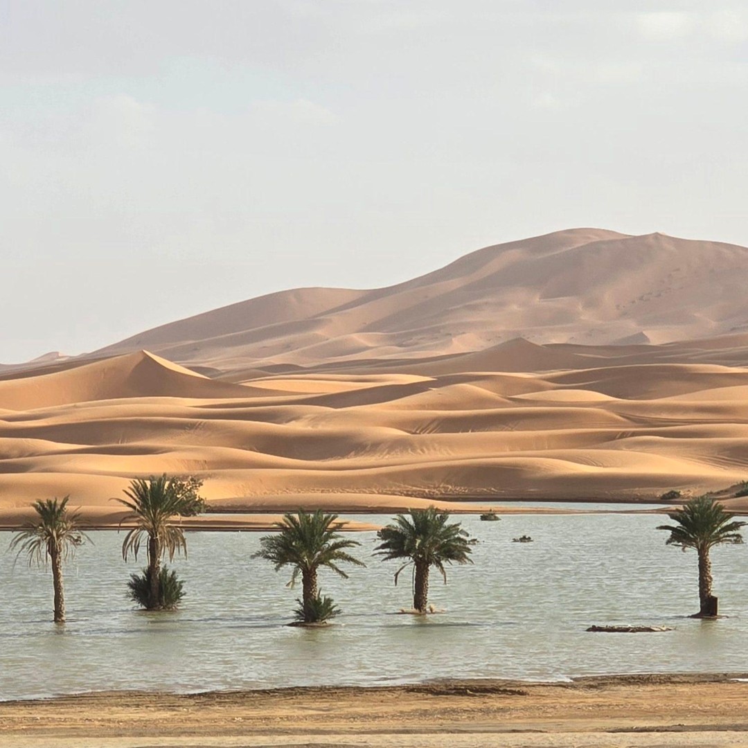Depuis Casablanca : road trip de 6 jours au Maroc – montagnes et désert - bivouac