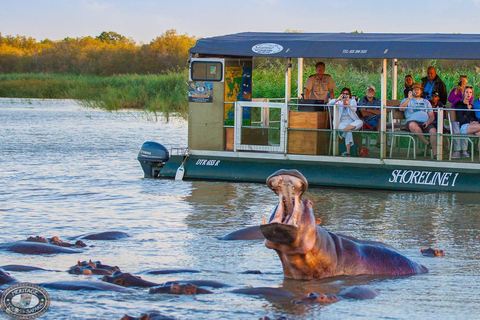 Półdniowe safari łodzią z hipopotamami na mokradłach Isimangaliso z Durbanu