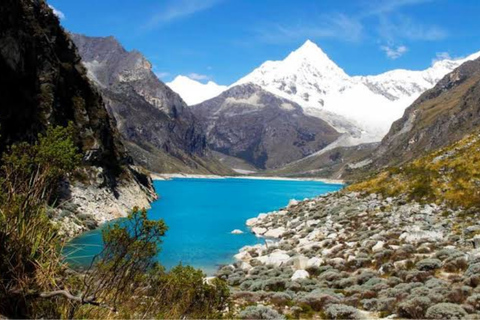 From Huaraz: Full-Day Excursion to Parón Lagoon From Huaraz: Full-Day Excursion to Parón Lagoon - Private - English