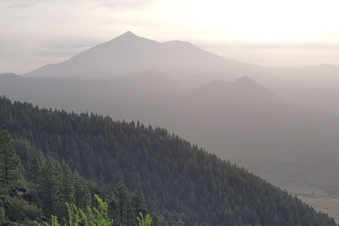 Teno: Circular hike from Erjos over the mountain ridge with views of Masca