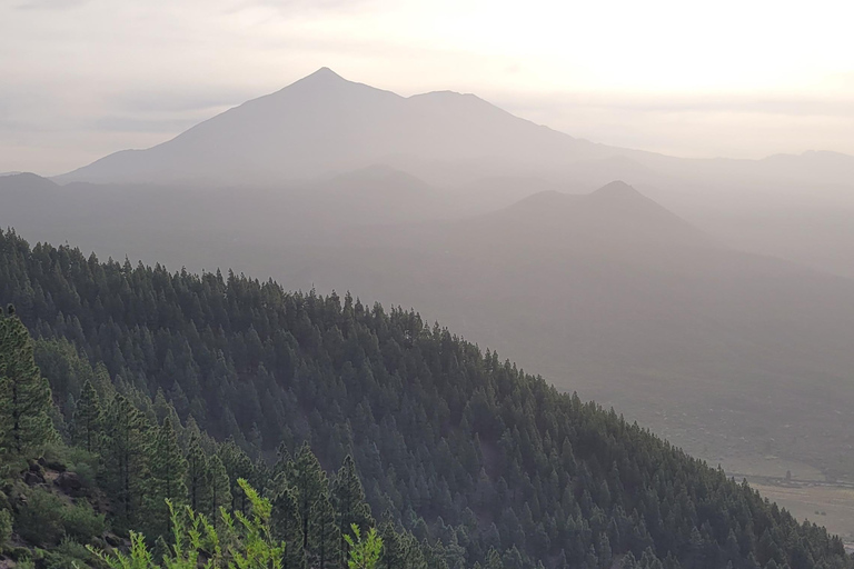 Teno: Circular hike from Erjos over the mountain ridge with views of Masca