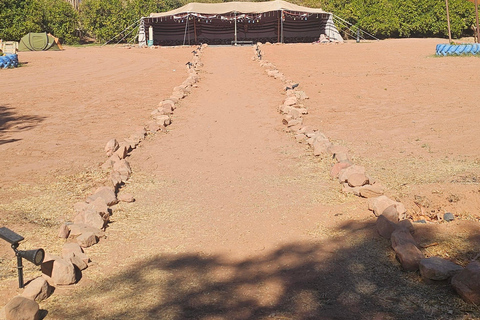 AlUla: Wadi Al Disah Day Trip with Guide
