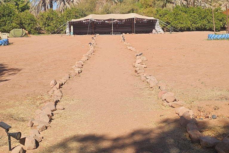 AlUla: Wadi Al Disah Day Trip with Guide