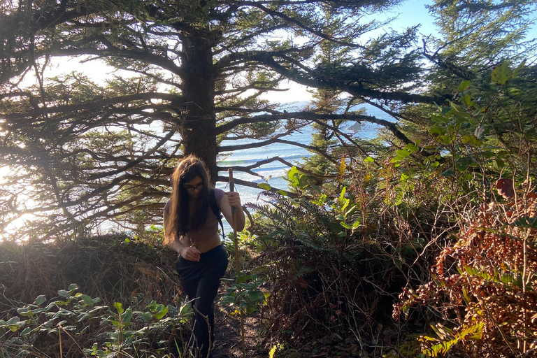 Portland: Cannon Beach and Ecola State Park Hiking Tour