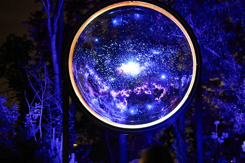Astra Lumina Entry at Currumbin Wildlife Sanctuary