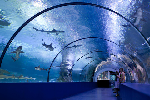 Antalya: Aquarium and Wax Museum Entry Ticket