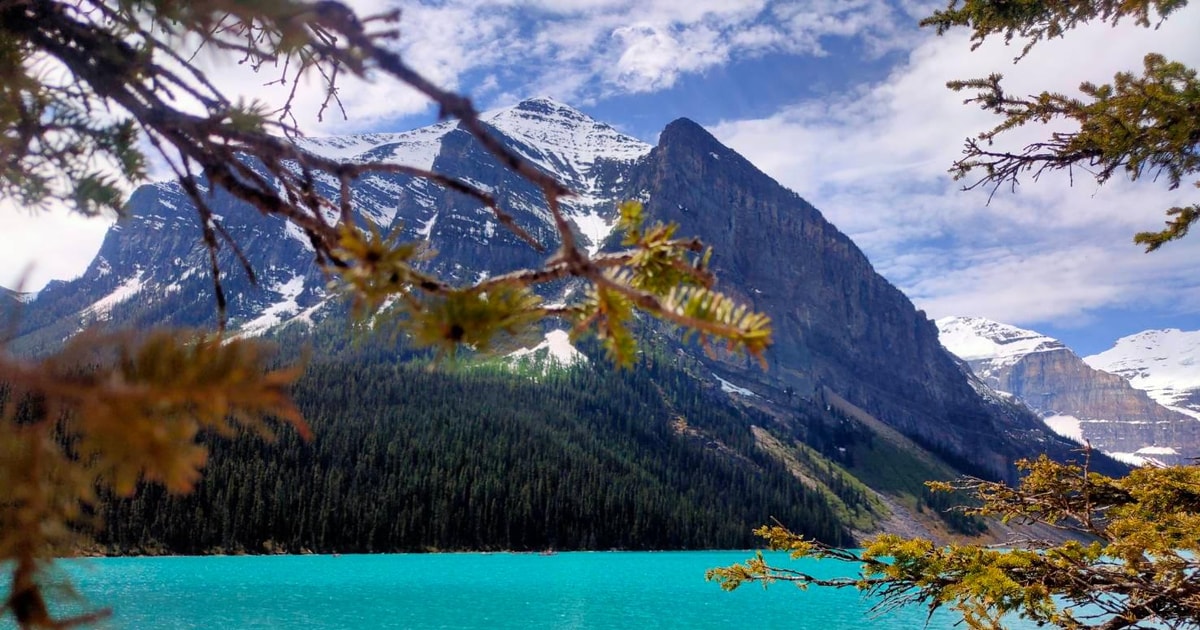 From Calgary: Lake Louise Moraine Lake Emerald Lake Day Tour | GetYourGuide