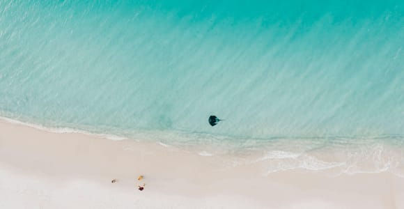 Sydney: Jervis Bay Tour with Beaches, Koalas & Kangaroos