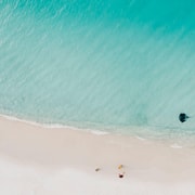 Sydney: Jervis Bay Tour with Beaches, Koalas & Kangaroos