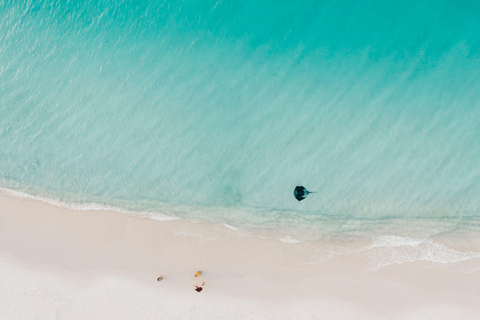 悉尼：杰维斯湾之旅，探访海滩、考拉和袋鼠上午7:30从圣安德鲁大教堂出发。