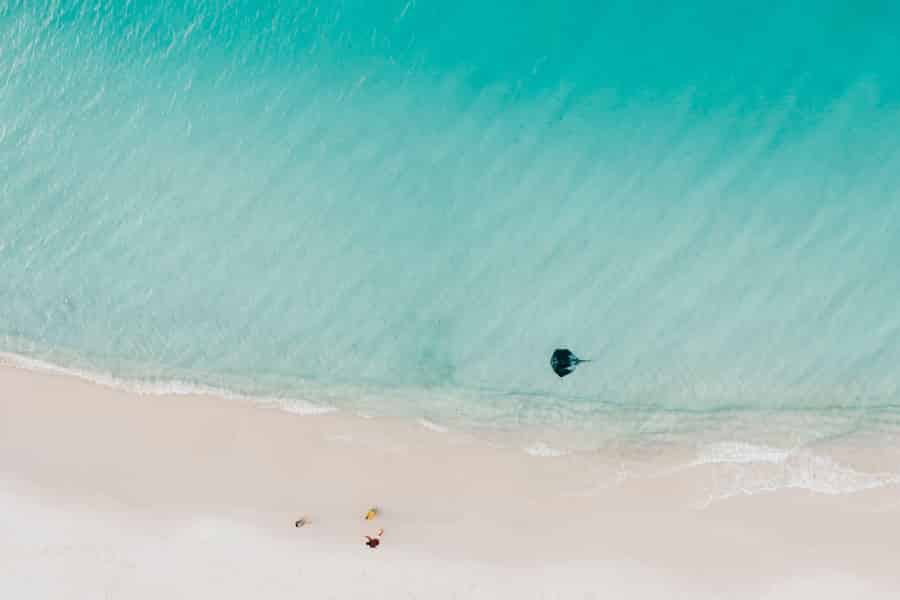 Sydney: Jervis Bay Tour mit Stränden, Koalas & Kängurus. Foto: GetYourGuide