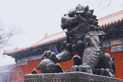 Beijing lamatempel &amp; Confucius Tempel Tickets Reserveren