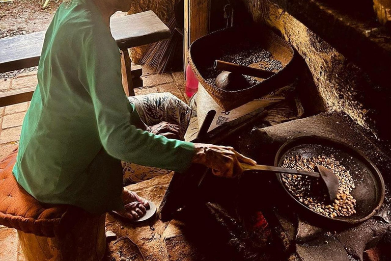 Ubud Waterfall, Temple, Rice Terrace & Art with Transfers