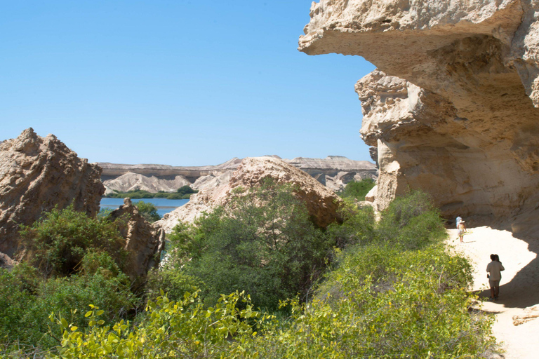 Namibia Coastal Tour Excursion
