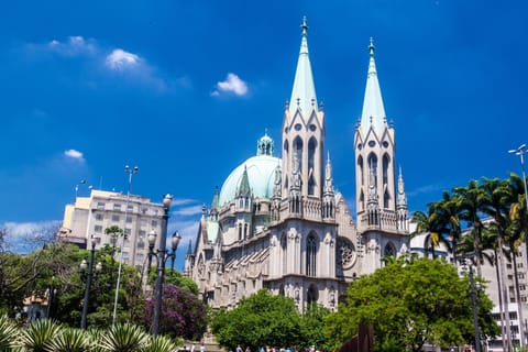 Sao Paulo: Downtown Highlights Private Walking Tour