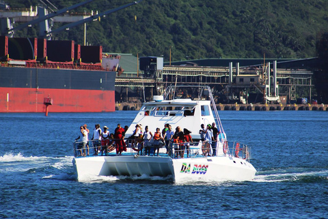 Durban: crociera di 30 minuti in barca al portoDurban: crociera in battello del porto di 30 minuti