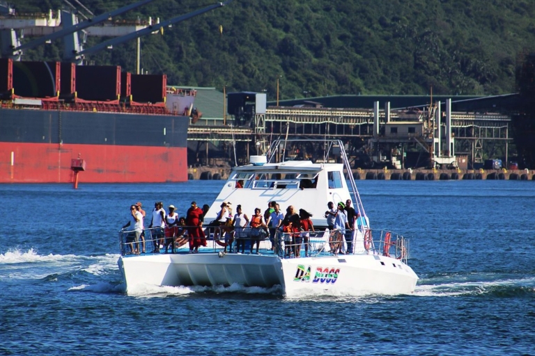 Durban: 30-minutowy rejs statkiem po porcie