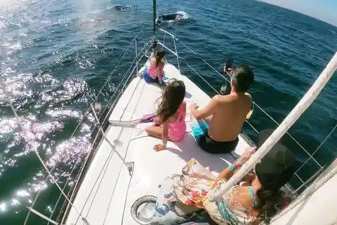 Nuevo Vallarta : Observation des baleines en voilier