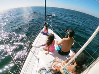 Nuevo Vallarta: Whale Watching by Sailboat Tour