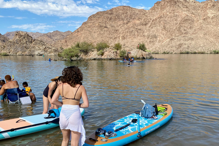Plage de Willow : Location de paddle board