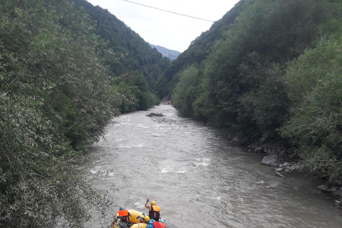 Całodniowa prywatna wycieczka z przewodnikiem w góry Gudauri i Kazbegi