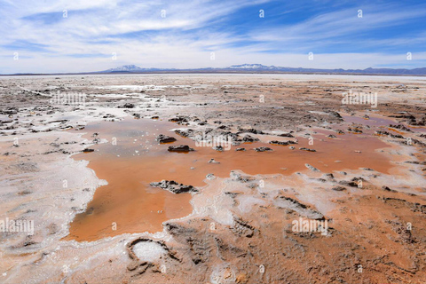 Classique des plaines salées d&#039;Uyuni